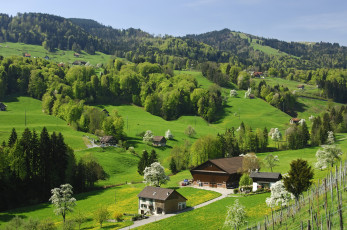 Картинка природа пейзажи деревья горы nature швейцария switzerland