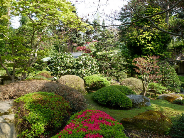 Обои картинки фото japanese, garden, albert, kahn, франция, природа, парк, сад, растения
