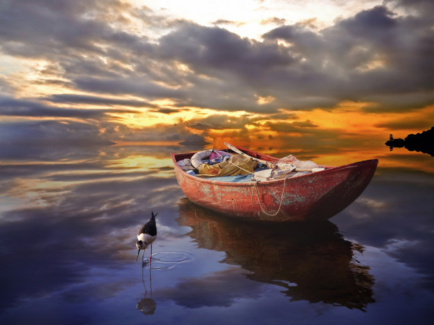 Обои картинки фото корабли, лодки, шлюпки, птица, закат, вода, шлюпка