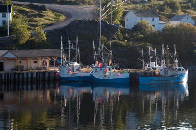 Обои картинки фото newfoundland, корабли, порты, причалы, баркасы, дорога, бухта