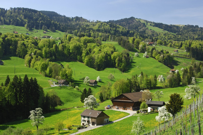 Обои картинки фото природа, пейзажи, деревья, горы, nature, швейцария, switzerland