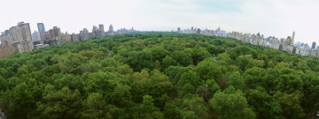 обоя города, нью-йорк , сша, зелень, парк, панорама, деревья, город, дома, здания