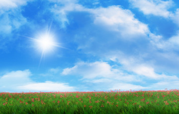 Картинка рисованные природа солнце трава красные поле цветы