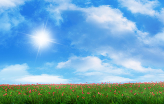 Обои картинки фото рисованные, природа, солнце, трава, красные, поле, цветы