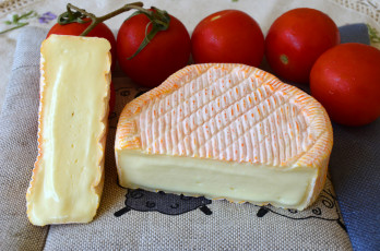 Картинка еда сырные+изделия сыр помидоры томаты