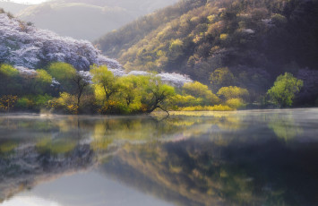 Картинка природа реки озера весна река Япония озеро