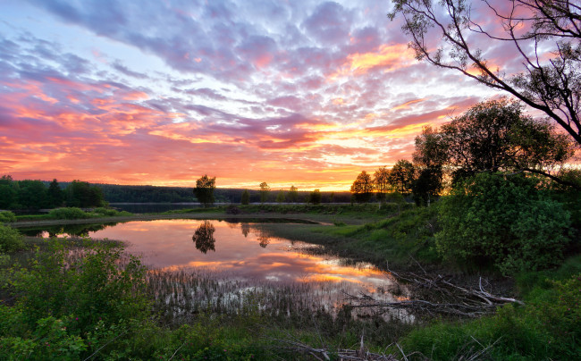 Обои картинки фото природа, реки, озера, река, лес