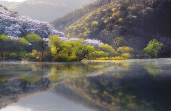 Обои картинки фото природа, реки, озера, весна, река, Япония, озеро