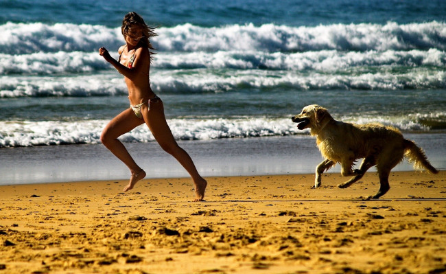 Обои картинки фото девушки, - брюнетки,  шатенки, купальник, бег, собака, море, песок