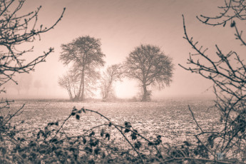 Картинка природа зима метель