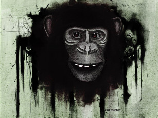 обоя monkey, рисованные, животные, обезьяны