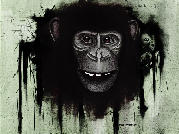 Обои картинки фото monkey, рисованные, животные, обезьяны