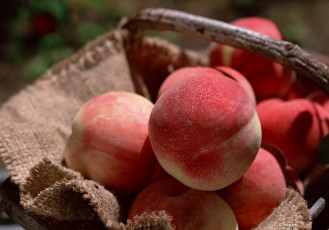 Картинка еда персики сливы абрикосы румяный корзинка
