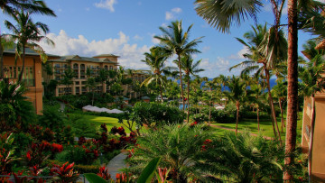Картинка города здания дома гавайи отель пальмы бассейн море цветы