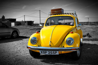 Картинка vw+beetle автомобили выставки+и+уличные+фото жук фольксваген жёлтый