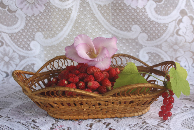 Обои картинки фото еда, фрукты,  ягоды, земляника, смородина