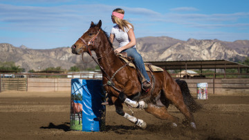 Картинка спорт конный+спорт всадник лошадь скачки