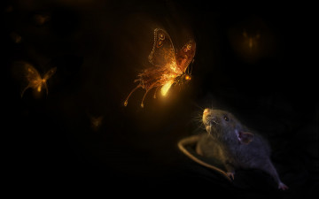 Картинка рисованное животные свет сияние бабочки крыса черный фон