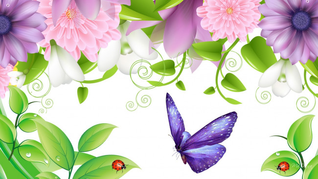 Обои картинки фото векторная графика, цветы , flowers, коллаж, цветы, листья, бабочка, насекомое, божья, коровка