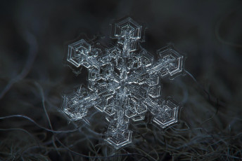 обоя природа, макро, снежинка, кристалл, ворс