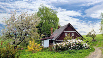 Картинка города -+здания +дома дом весна цветущие кусты