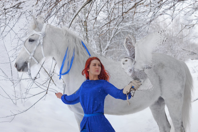 Обои картинки фото девушки, - рыжеволосые и разноцветные, рыжая, платье, конь, сова, снег, зима