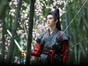 Картинка мужчины zhu+zanjin актер костюм меч лес