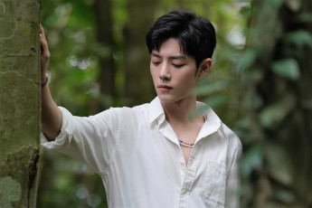 обоя мужчины, xiao zhan, актер, рубашка, лес