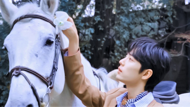 Обои картинки фото мужчины, xiao zhan, актер, цветок, лошадь