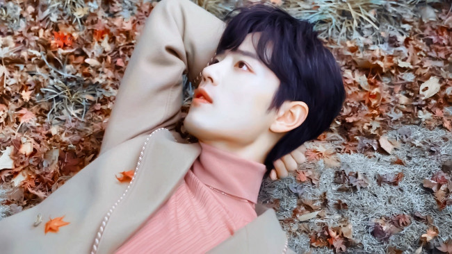 Обои картинки фото мужчины, xiao zhan, актер, куртка, листья, осень