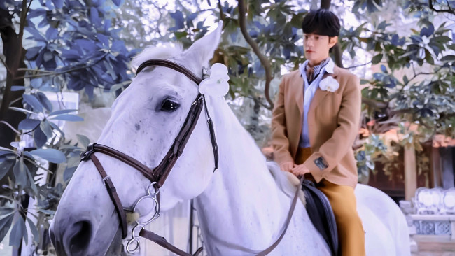 Обои картинки фото мужчины, xiao zhan, актер, очки, лошадь, дерево