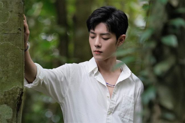 Обои картинки фото мужчины, xiao zhan, актер, рубашка, лес