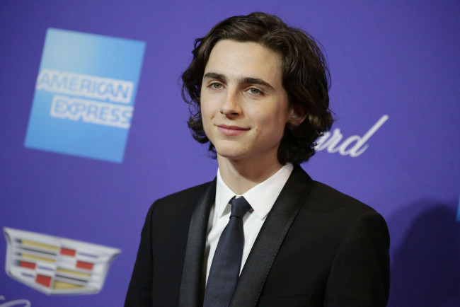 Обои картинки фото timothee chalamet, мужчины, актер, костюм