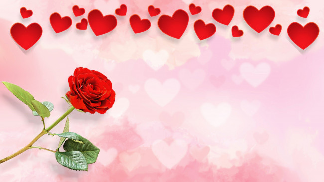 Обои картинки фото праздничные, день святого валентина,  сердечки,  любовь, роза, красная, сердечки