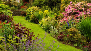 обоя mount pleasant gardens, england, природа, парк, mount, pleasant, gardens
