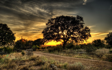 Картинка природа деревья закат дорога