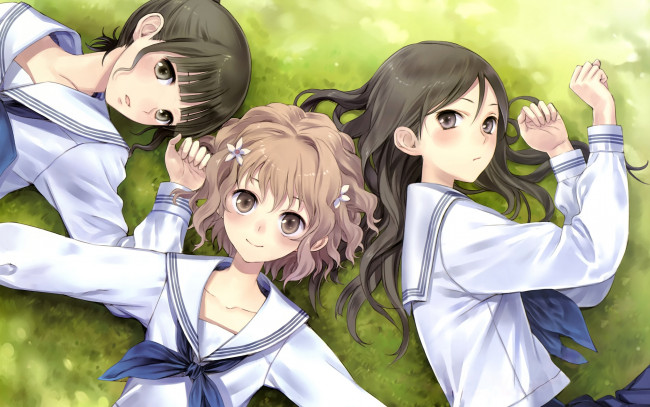Обои картинки фото аниме, hana, saku, iroha, девушки, трава