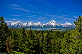 Картинка grand teton national park usa wyoming природа пейзажи горы лес озеро