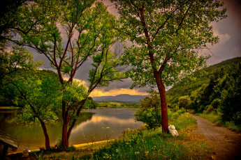 Картинка венгрия dеdestapolcsаny природа реки озера река берег деревья
