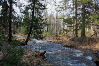 Картинка природа реки озера лес деревья река течение пейзаж