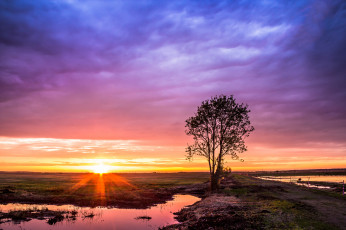 Картинка природа восходы закаты поле дорога дерево рассвет