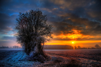 Картинка природа восходы закаты поле закат деревья