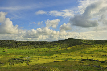Картинка природа поля холмы небо облака пейзаж