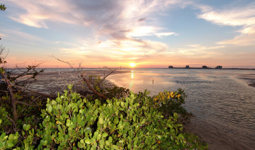 Картинка сша флорида природа восходы закаты море берег