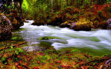 Картинка природа реки озера лес река поток стремнина