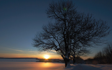Картинка природа восходы закаты поле дорога дерево закат