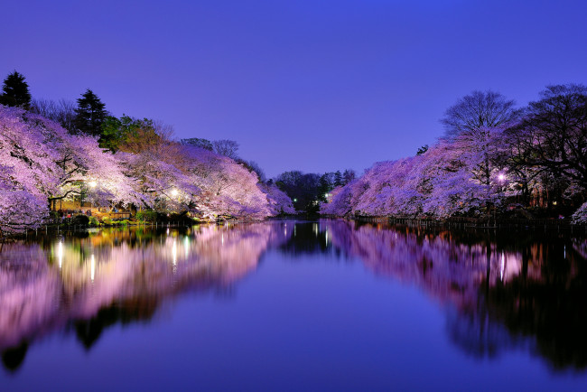 Обои картинки фото природа, реки, озера, осака, Япония