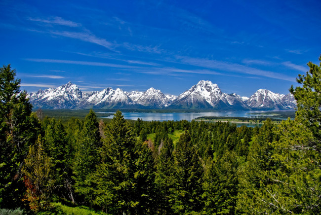 Обои картинки фото grand, teton, national, park, usa, wyoming, природа, пейзажи, горы, лес, озеро