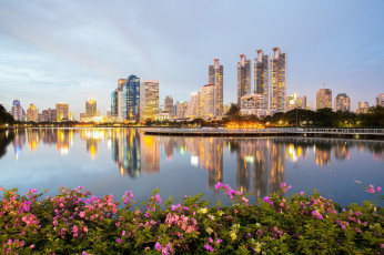 обоя города, вода, отражение, парк, кусты, шиповник, здания, небоскрёбы, набережная, bangkok, thailand