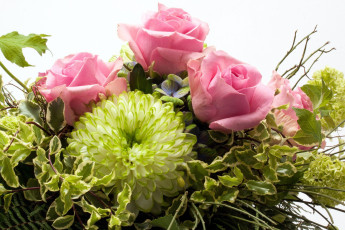 Картинка цветы букеты +композиции розы хризантема